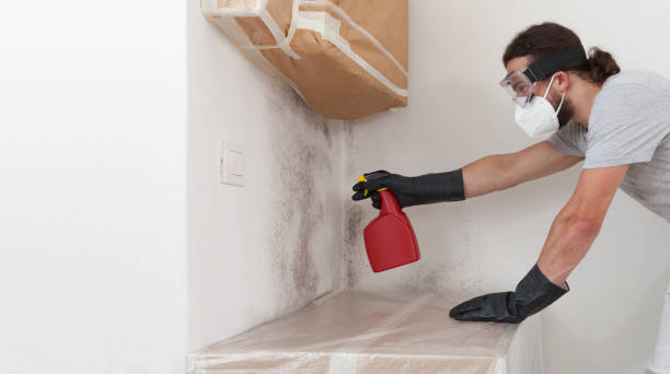 Professional Crawl Space Mold Remediation technician working in Alpine, TX