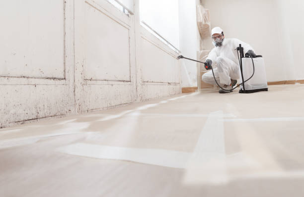 24/7 Emergency Crawl Space Mold Remediation experts in Alpine, TX